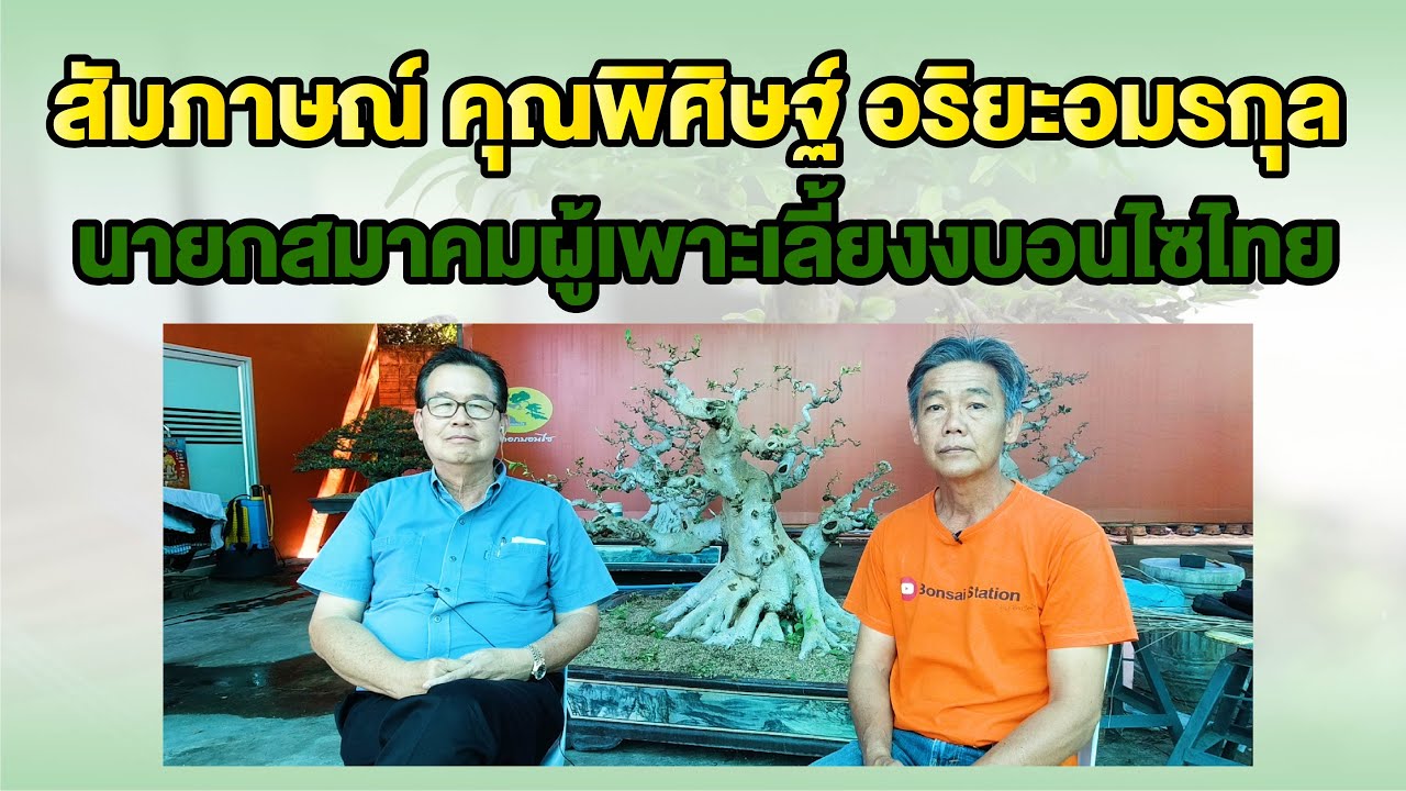 Bonsai Station [ตอนพิเศษ] สัมภาษณ์ นายกสมาคมผู้เพาะเลี้ยงบอนไซไทย (คุณพิศิษฐ์ อริยะอมรกุล)