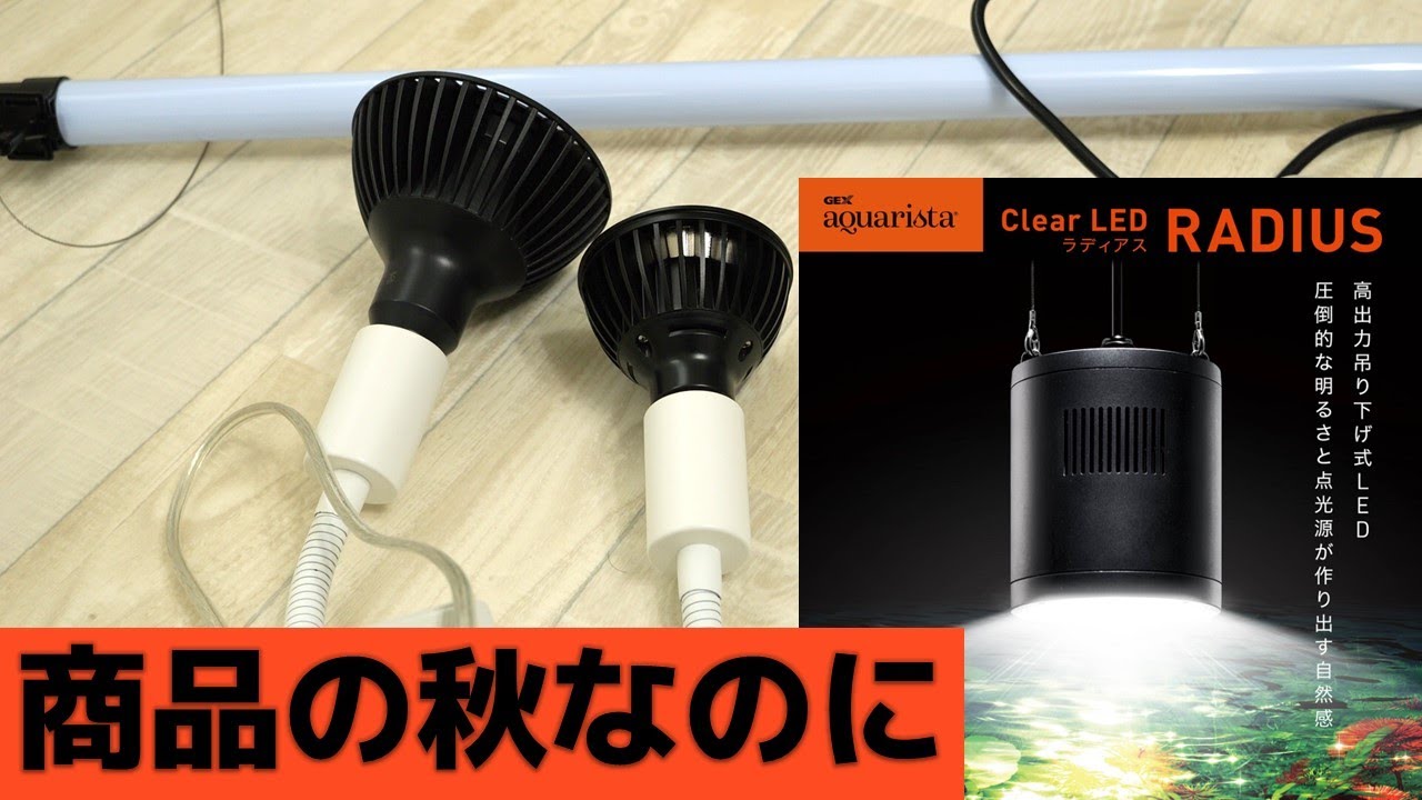 語り】植物育成エリアの構築、2025秋のアクアリウム新商品について