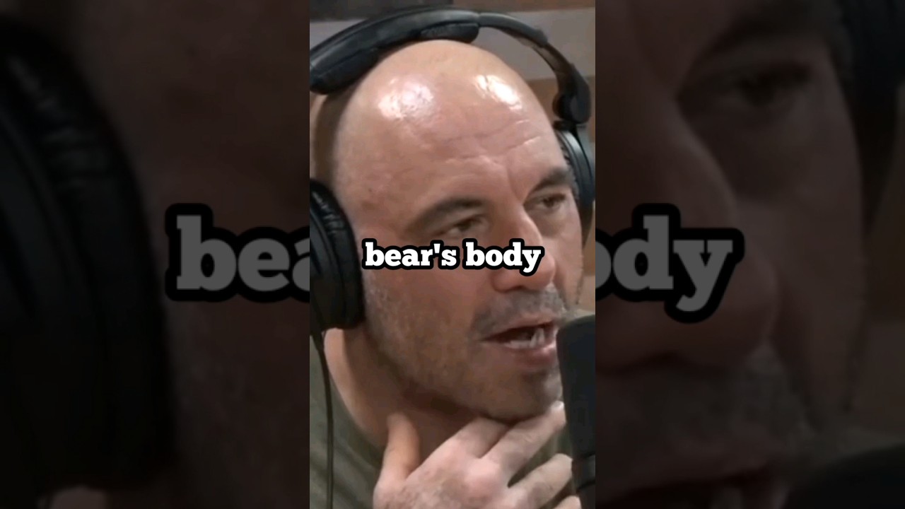 Joe Rogan: The T-34 russian polar bear😮