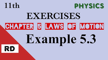 11th physics Ch5 EXERCISES Ex 5.3 Give the magnitude & direction of the net force acting on a stone.
