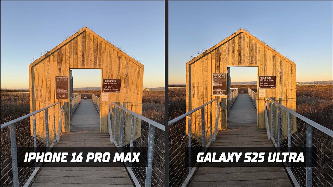 Galaxy S25 Ultra vs. iPhone 16 Pro Max - Camera Comparison (Photo ...