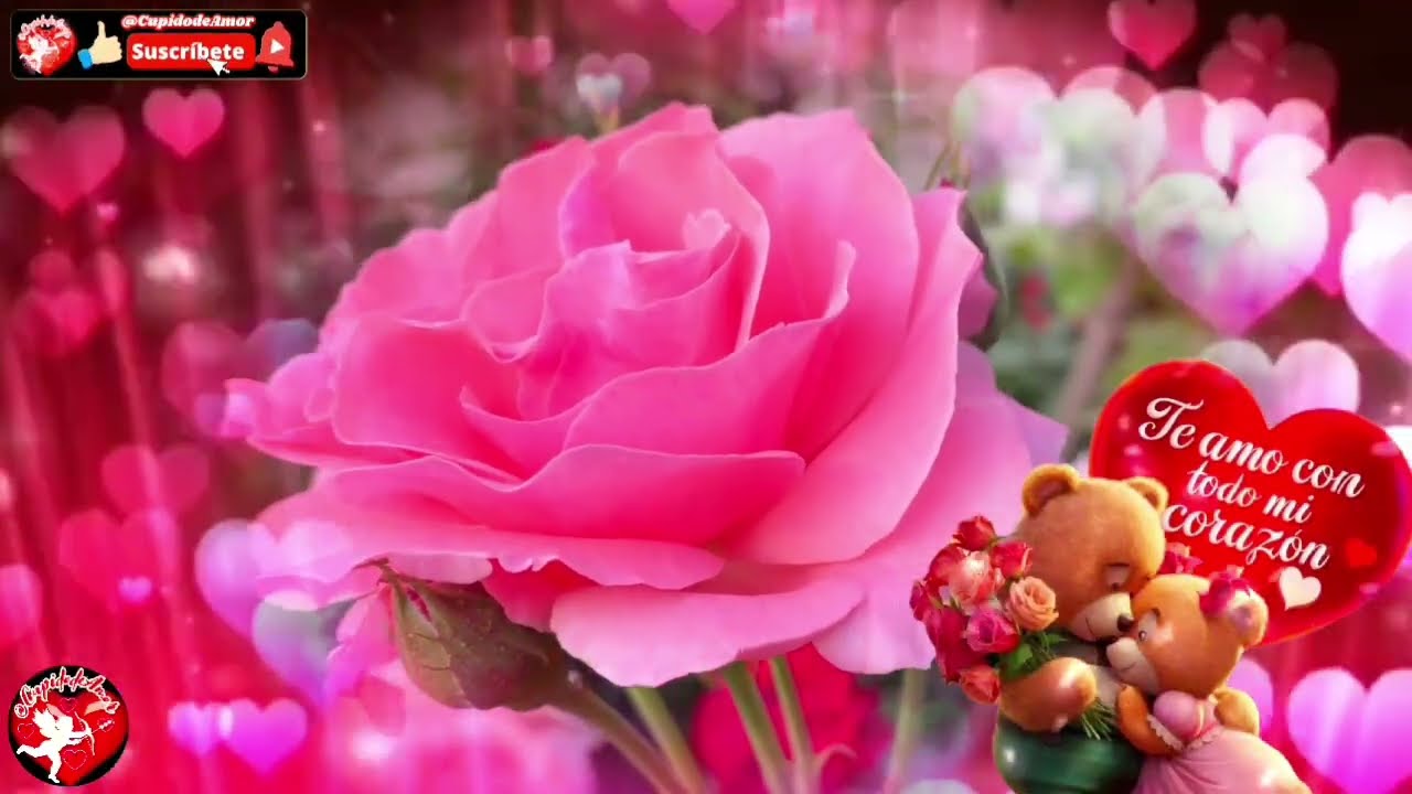 Intenté Guardarlo En Silencio… Pero No Pude 💘