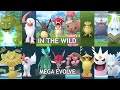 Catching shiny in the wild and mega evolved them feat. Mega Steelix, Absol and more