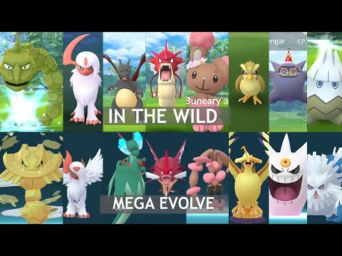 Catching these wild shiny pokemon and mega-evolving them Part 3