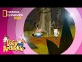 Iggy Arbuckle Adventure Questions
