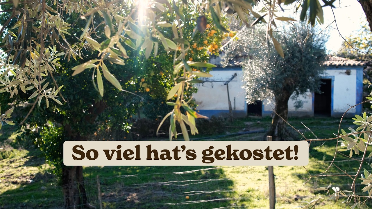 Was hat unser Haus in Portugal gekostet? – Der Preis für einen großen Traum 🇵🇹