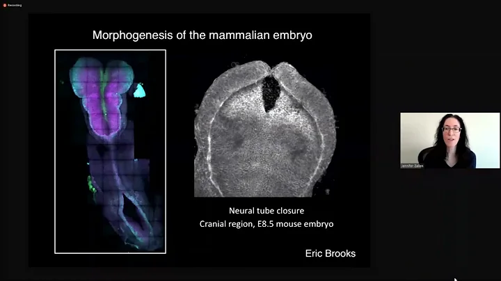 Day 2 - Cell Biological Basis of Epithelial Physiology