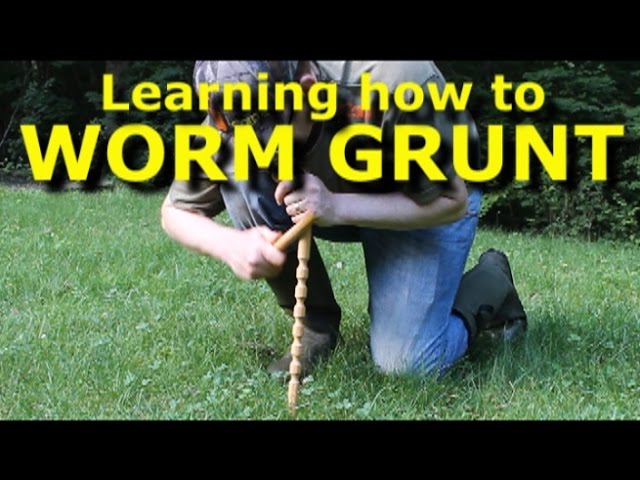 Worm grunting - charm earthworms out of the ground - with Worm