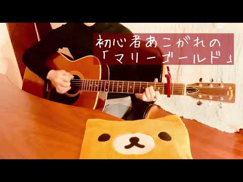 あいみょん/マリーゴールド　ギター２ヶ月　なつばやしギター小学生