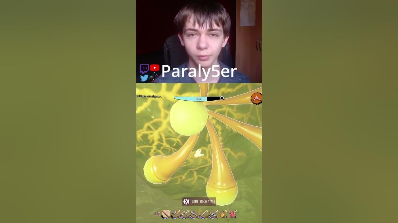 HOW TO GET THE PICNIC BURG.L CHIP IN GROUNDED YouTube