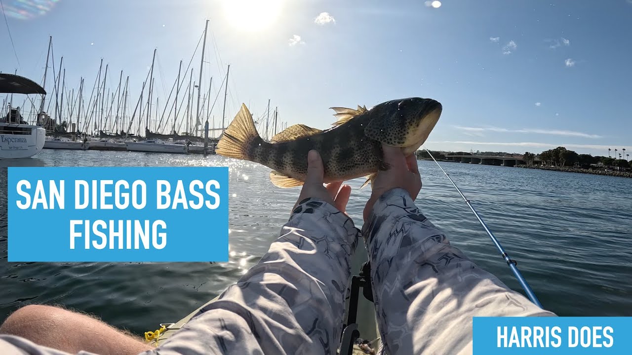 Late Winter San Diego Bass Kayak Fishing Session | Hookup Baits | Legal Bass #fishing #bassfishing