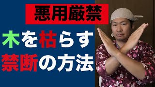 庭木【枯らす方法】禁断のやり方を公開【悪用厳禁】