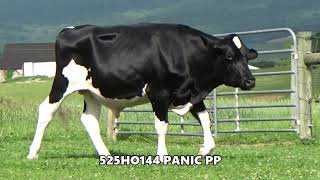 525HO144 Elquest PANIC PP