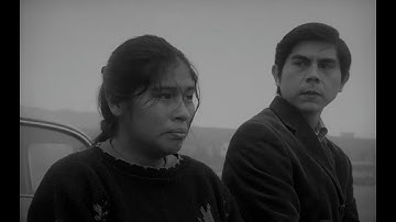 映画「名もなき歌」予告編