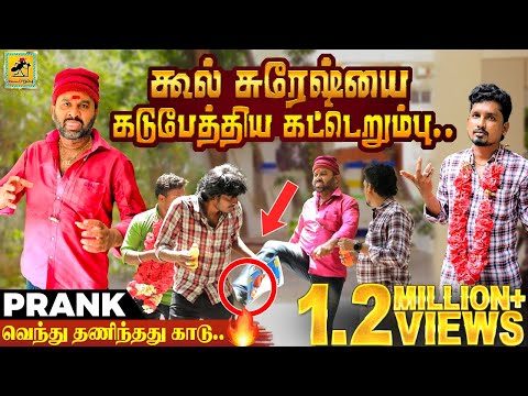 Cool Suresh Prank | Prank Gone Wrong | Katta Erumbu