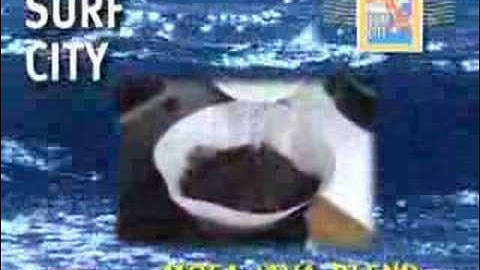 Moka Java from Surf City Coffee