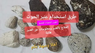 عنبر الحوت عنبر كبد الحوت معلومات واستخدامات متنوعة وطرق طبية