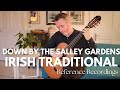 Down by the salley gardens irish traditional matthew mcallister guitar
