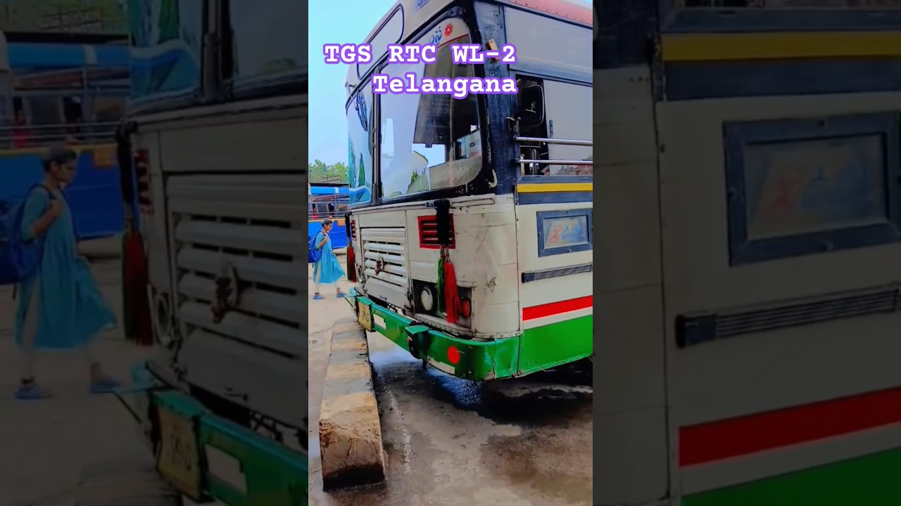 TGS RTC WL-2 🎉🎉❤️ 