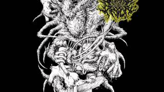 Internal Devour - Transmutation (Promo 2014)