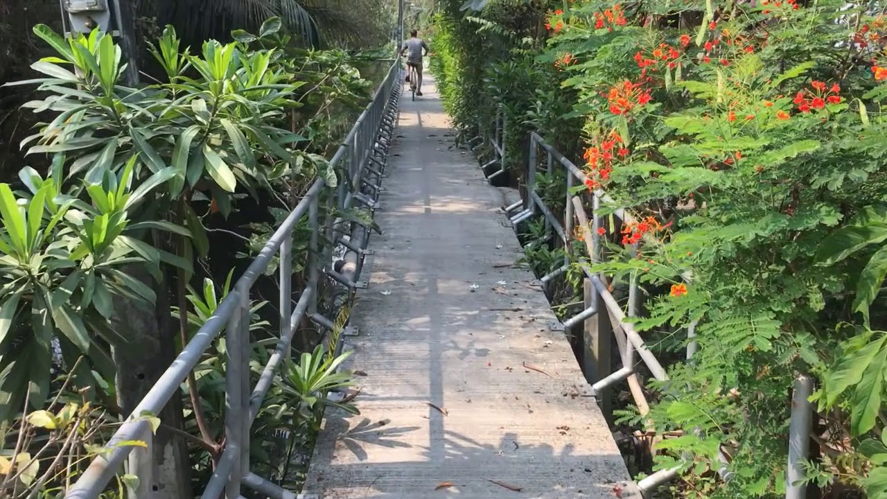 Cycling in Bang Kachao, Bangkok