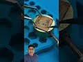 tambahan bagian penting solder #automobile #hpsmart #smartphone #hpmati #viral #diy #tecnician #tips