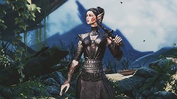 Sebille Origin | Divinity: Original Sin 2