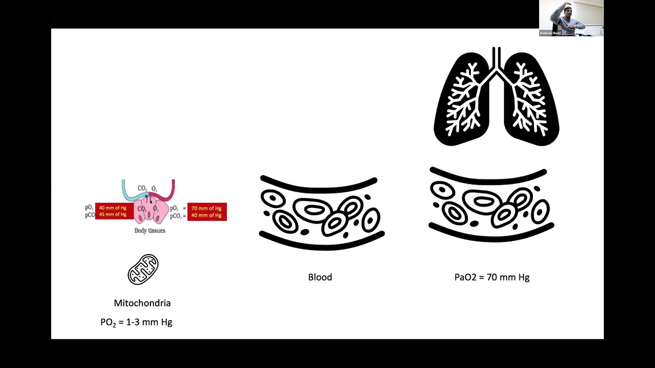Oxygenation in Neonatal Diseases