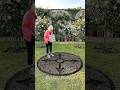 Grow a Compass Rose Flower Bed the Smart Way – Egg Carton Method 🌹🧭