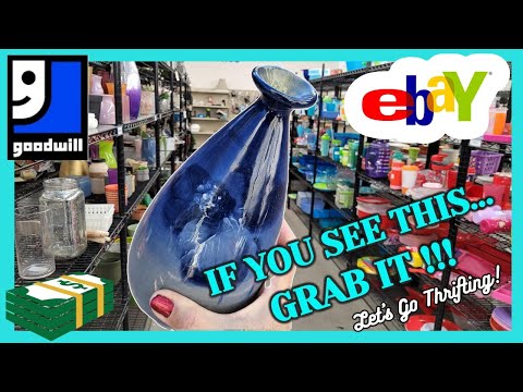 GOODWILL Find WORTH HUNDREDS... I FILLED the CART! / THRIFT WITH ME / Top 5 / Thrifting Vegas