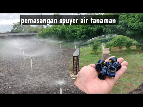 Video: Sprinklers untuk penyiraman: sederhana dan elegan