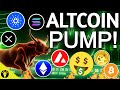 Altcoins to rally as bitcoin dominance falls memecoins are good