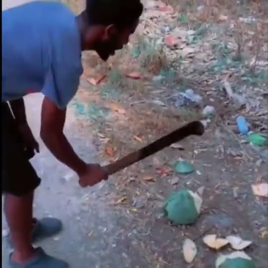 Mi Bomboclaat Coconut Meme
