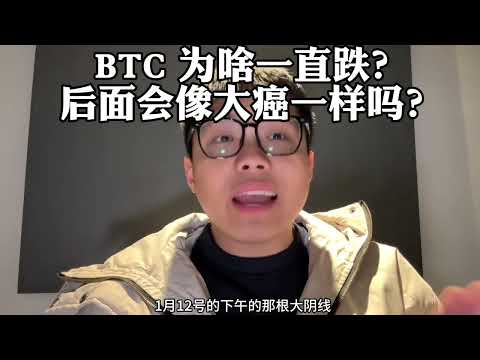 BTC为啥一直跌 后面会不会跌成A股那个逼样 已经见顶了吗 以太坊 区块链 比特币 币圈 币圈投资 加密货币 虚拟货币 虚拟币交易所 Web3 Btc Ethereum 