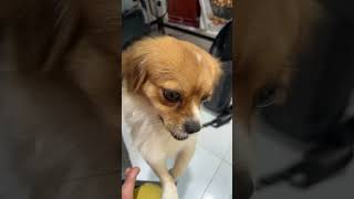 Full Video Link Below