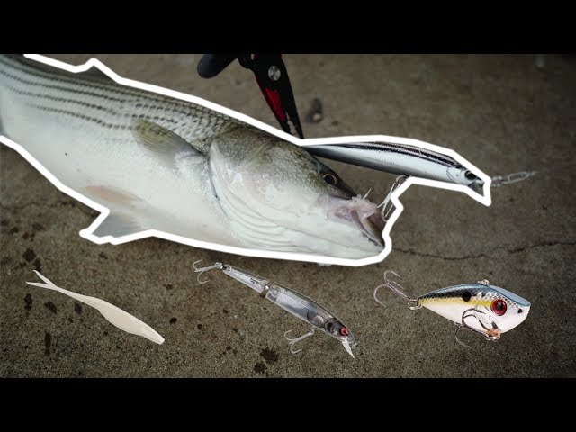 TOP 5 STRIPER LURES for Fresh Water Dam Fishing