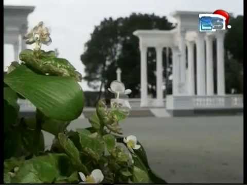 ბათუმის ბულვარმა 12 ვაკანსიაზე კონკურსი გამოაცხადა