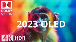 The Best 4K Oled Demo Ultra Hd Experience 