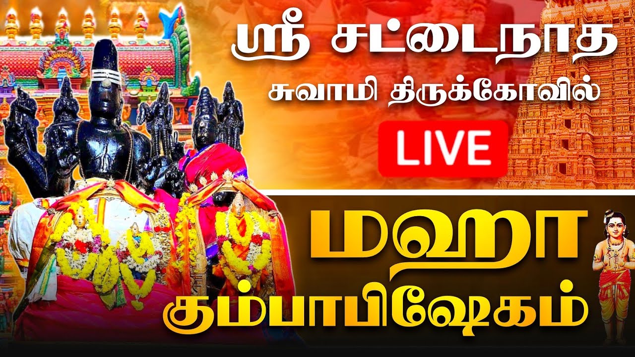 Katta sikli odam siltab tashlaydi Katta sikli odam siltab tashlaydi