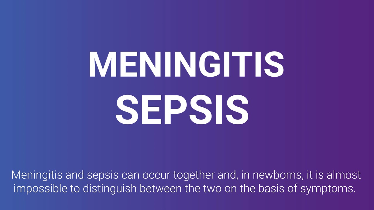 World Meningitis Day | April 24th 2021