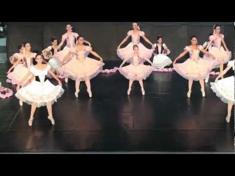 Vídeo: No Campo Do Ballet
