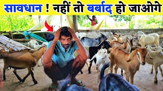 सावधान ! नहीं तो बकरी पालन में बर्बाद हो जाओगे | Goat farming in india