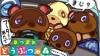 #2【本日発売】あつまれどうぶつの森「フータ登場 。博物館準備にとりかかれ！」実況LIVE【あつ森/switch】