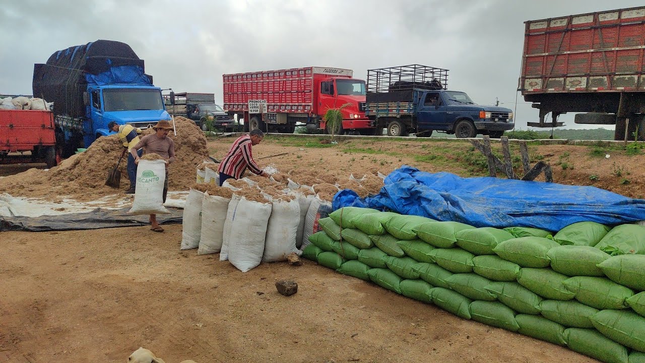Feira da ração de Capoeiras-PE 06/03/26 
