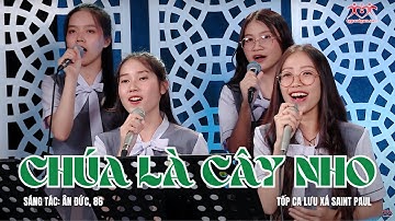 ♫ Chúa Là Cây Nho (St: Ân Đức & 86) - Trình bày: Lưu xá Saint Paul