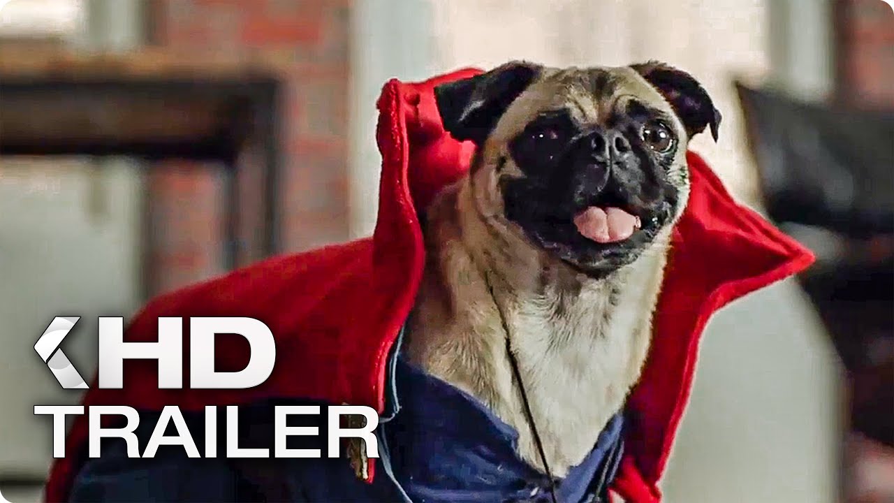 DOCTOR STRANGE Clip Top Halloween Dogs (2016) YouTube