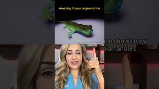 Did You Know Salamanders Can Do This?