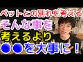 ●●を大事にしなさい。僕もぴこさん達との別れがあるけど・・・【DiaGo・切り抜き・質疑応答】