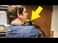 A Man Helped An Injured Owl. When It Was Time To Let Her Go, The Owl’s Response Touched Everyone