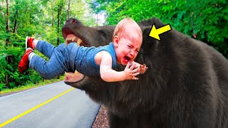 Bear Carries Dying Child To The Road, Then Something Unbelievable Happens!